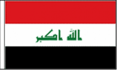 Iraq Hand Waving Flags